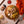 Load image into Gallery viewer, Essentials Bundle - All 5 - Perfeito Foods