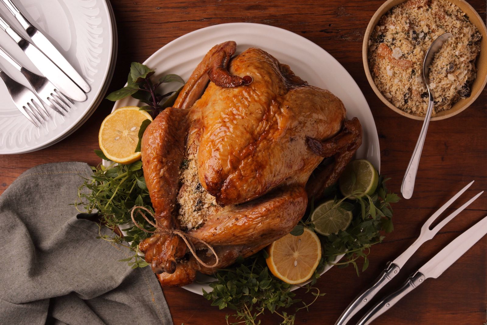 Thanksgiving Turkey Delight - Perfeito Foods